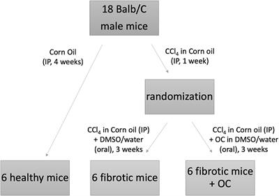 The Extra Virgin Olive Oil Polyphenol Oleocanthal Exerts Antifibrotic Effects in the Liver